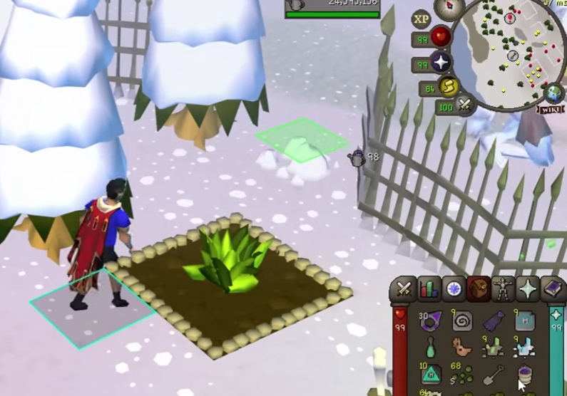 OSRS Gold Farming Guide