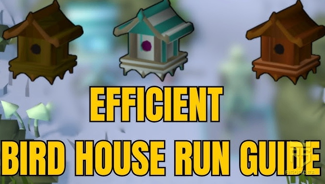 RuneScape gold for sale