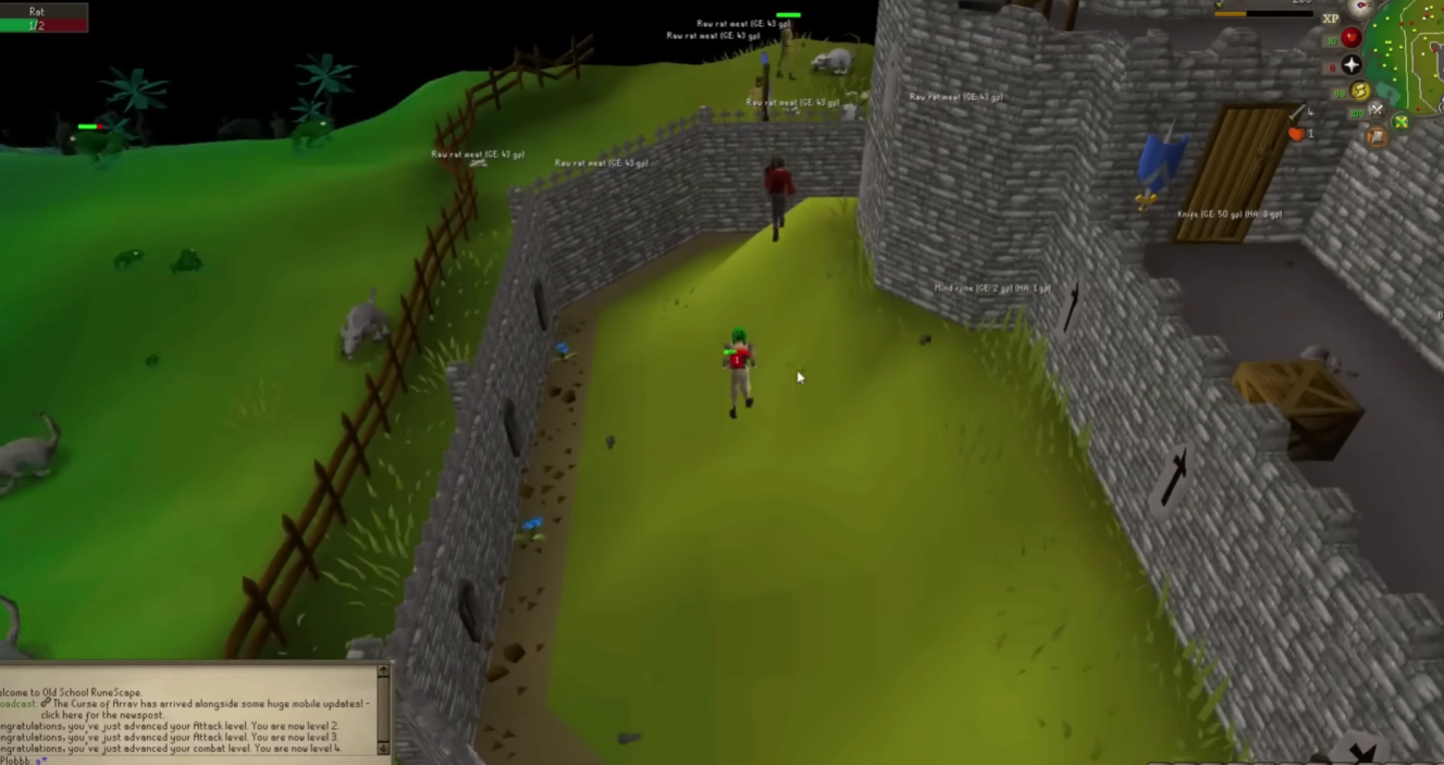 OSRS Beginner Guide,Money Making,Leveling Guide