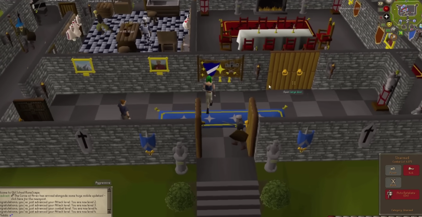 OSRS Beginner Guide,Money Making,Leveling Guide