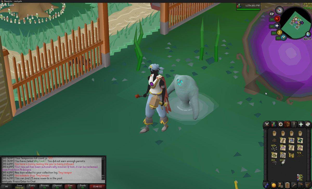 OSRS raids, OSRS gold, OSRS endgame economy, OSRS market changes, OSRS item prices, Buy OSRS gold, Buy OSRS items